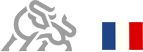 图标